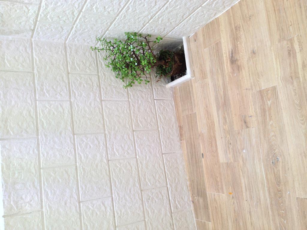布林迪西Casa Petra - Mini Open Space公寓 外观 照片